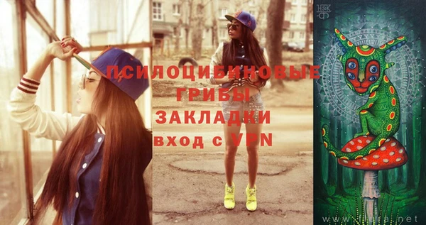 кокс Баксан