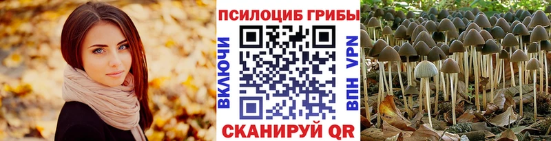 Галлюциногенные грибы мицелий  закладка  Кулебаки 